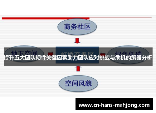 提升五大团队韧性关键因素助力团队应对挑战与危机的策略分析