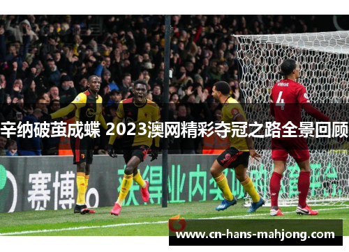 辛纳破茧成蝶 2023澳网精彩夺冠之路全景回顾