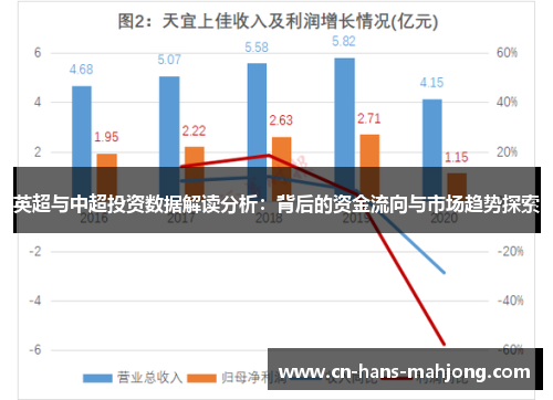英超与中超投资数据解读分析：背后的资金流向与市场趋势探索