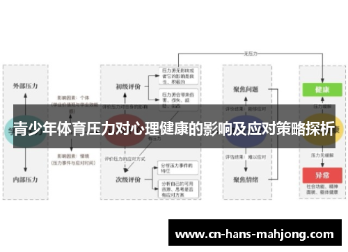 青少年体育压力对心理健康的影响及应对策略探析 青少年体育压力对心理健康的影响及应对策略探析